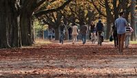 Wandeling door landgoed Mariëndaal