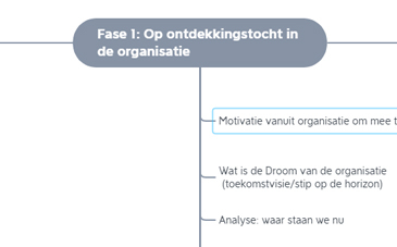 Fase 1 - op ontdekkingstocht door de organisatie